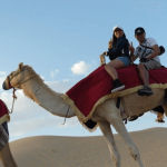 Group-Desert-Safari-bookings