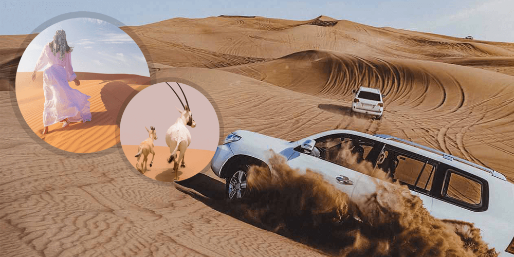 desert safari qatar location