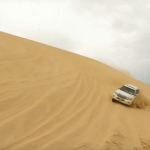 dune-bashing-for-Groups-Doha-qatar