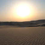 evening-desert-safari-price-rates-doha-Qatar