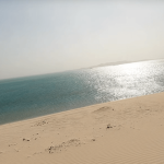 half-day-private-morning-desert-safari-qatar-inland-beach