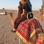 how-to-book-morning-desert-safari-to-tour-qatar