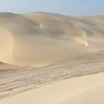 inland-beach-dune-bashing-qatar