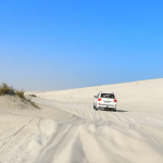 inland-beach-safari-tour-from-doha