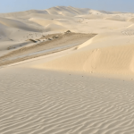 inland-sea-dune-bashing