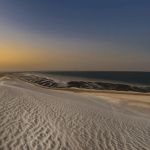 inland-sea-morning-tour-qatar