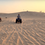 private-desert-safari-companies-near-me-doha